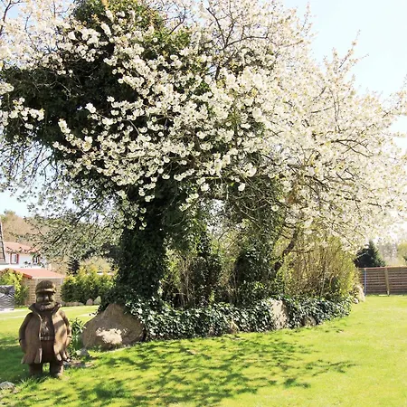 Ostseeresidenz 15 * Wischuer